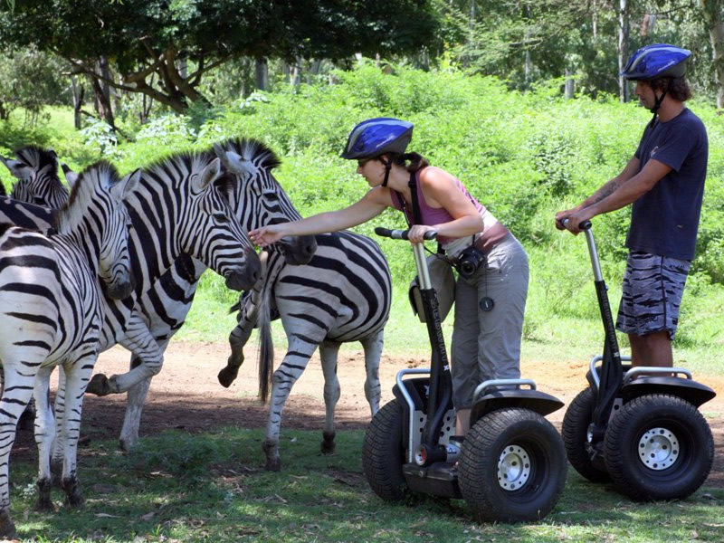 The Casela Nature and Leisure Park